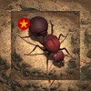 免费短剧多刷